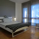 Rent 7 bedroom apartment in Padua