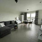 Rent 1 bedroom apartment in Vilvoorde