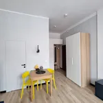 Rent 1 bedroom apartment of 27 m² in Poznan