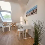 Rent 1 bedroom apartment of 41 m² in Essen