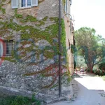 Rent 2 bedroom apartment of 55 m² in Corciano