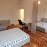 Rent 2 bedroom apartment of 60 m² in Milano