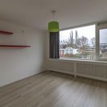 Rent 6 bedroom house of 170 m² in Zeestratenbuurt