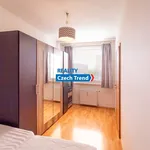 Rent 3 bedroom apartment in Olomouc