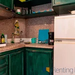 Rent 1 bedroom apartment of 35 m² in Roma