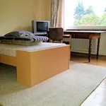 Rent 1 bedroom apartment of 25 m² in Bonn