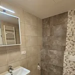 Pronajměte si 2 ložnic/e byt o rozloze 58 m² v Pilsen