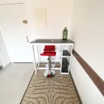 Appartement de 30 m² avec 1 chambre(s) en location à Cannes