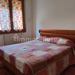 Rent 4 bedroom apartment of 90 m² in Bologna