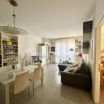 Rent 5 bedroom apartment of 130 m² in Piacenza