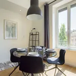 Rent 1 bedroom apartment of 45 m² in lyon