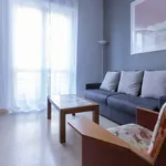 Rent 1 bedroom apartment of 65 m² in milan