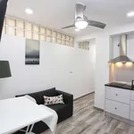 Rent 1 bedroom apartment in malaga