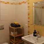 Pronajměte si 1 ložnic/e byt o rozloze 33 m² v Prague