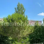 Rent 4 bedroom apartment of 107 m² in Siena