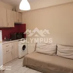 Rent 1 bedroom apartment of 3000 m² in Thessaloniki Municipal Unit