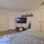 Rent 1 bedroom apartment of 45 m² in Kaiserslautern