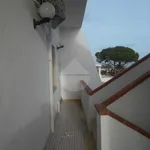 Rent 5 bedroom apartment of 80 m² in Castelvetrano