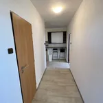 Pronajměte si 3 ložnic/e byt o rozloze 71 m² v Prague