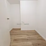 Rent 1 bedroom apartment of 43 m² in Brno