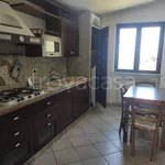 Affitto 2 camera casa di 65 m² in Civitavecchia