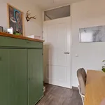 Huur 3 slaapkamer appartement van 78 m² in Hoefstraat Noord