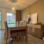 Rent 1 bedroom apartment in Harelbeke