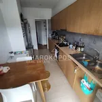 Ενοικίαση 2 υπνοδωμάτιο διαμέρισμα από 128 m² σε Municipal Unit of Neo Psychiko