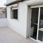 Rent 1 bedroom apartment in lisbon