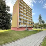 Byt 1+1 k pronájmu, Litovel Novosady, 34 m²