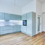 Pronajměte si 3 ložnic/e byt o rozloze 64 m² v Karlovy Vary