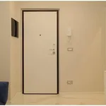 Rent 2 bedroom apartment of 40 m² in Turin