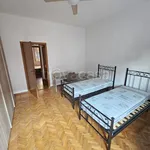 Rent 4 bedroom apartment of 100 m² in Bologna