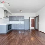 Rent 2 bedroom apartment of 45 m² in Praha