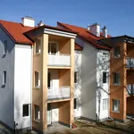 Rent 2 bedroom apartment of 58 m² in Stegersbach