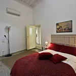 Rent 1 bedroom apartment of 50 m² in Florence