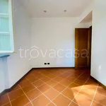 Rent 3 bedroom apartment of 75 m² in Capannori