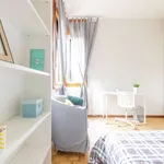 Rent a room in Padua