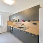 Rent 4 bedroom apartment of 90 m² in České Budějovice