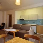 Rent 1 bedroom apartment of 30 m² in Trhový Štěpánov