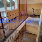 Rent 1 bedroom apartment of 1 m² in Hradec Králové