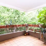 Rent 3 bedroom apartment of 66 m² in Toulouse