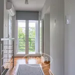 Rent 5 bedroom apartment of 160 m² in Wrocław