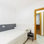 Rent 4 bedroom apartment in Granada