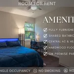 Rent 1 bedroom apartment in Denton