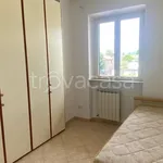 Rent 3 bedroom apartment of 66 m² in Zagarolo