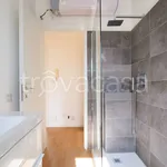 Rent 3 bedroom apartment of 110 m² in Milano