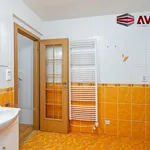 Rent 2 bedroom apartment of 56 m² in Opava