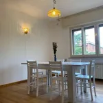 Rent 3 bedroom apartment of 91 m² in Perugia