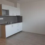 Rent 1 bedroom apartment of 30 m² in Brno